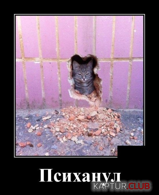 demotivatory_17.jpg | Рено Каптур Клуб Россия | Форум KAPTUR.SU