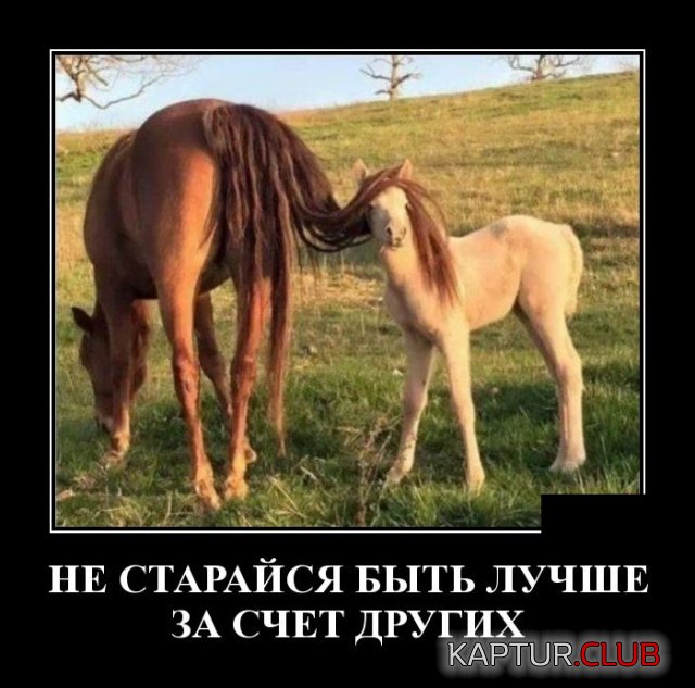 demotivatory_17.jpg | Рено Каптур Клуб Россия | Форум KAPTUR.SU