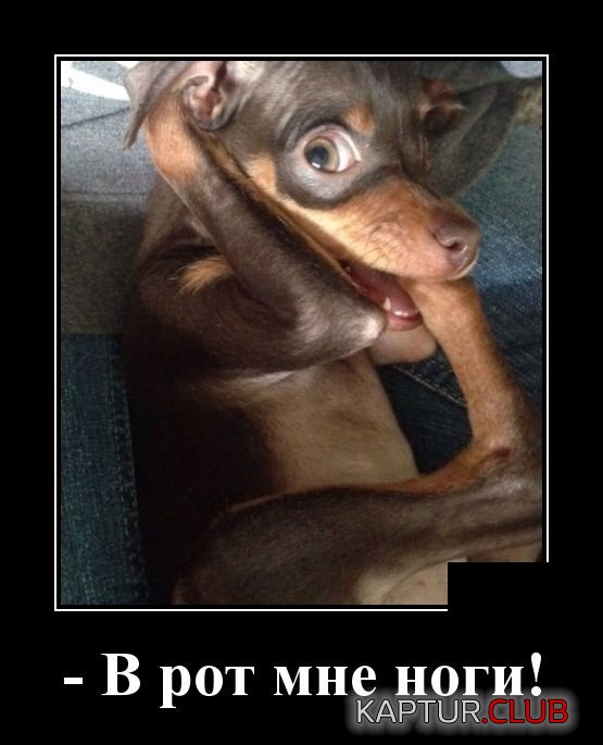 demotivatory_17.jpg | Рено Каптур Клуб Россия | Форум KAPTUR.SU