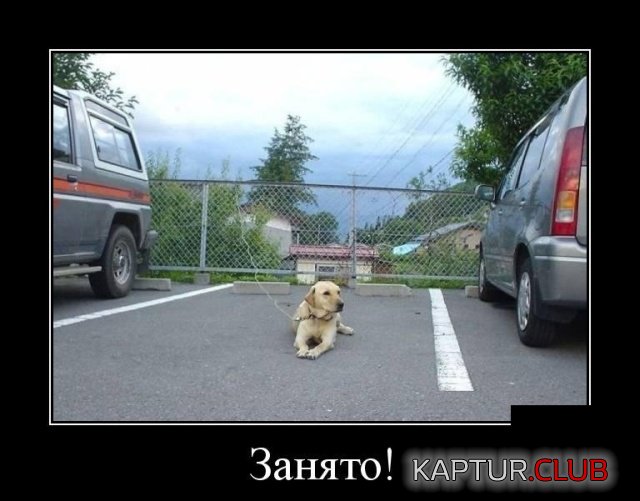 demotivatory_17.jpg | Рено Каптур Клуб Россия | Форум KAPTUR.SU
