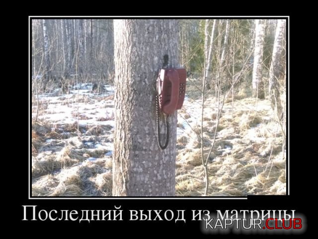 demotivatory_18.jpg | Рено Каптур Клуб Россия | Форум KAPTUR.SU