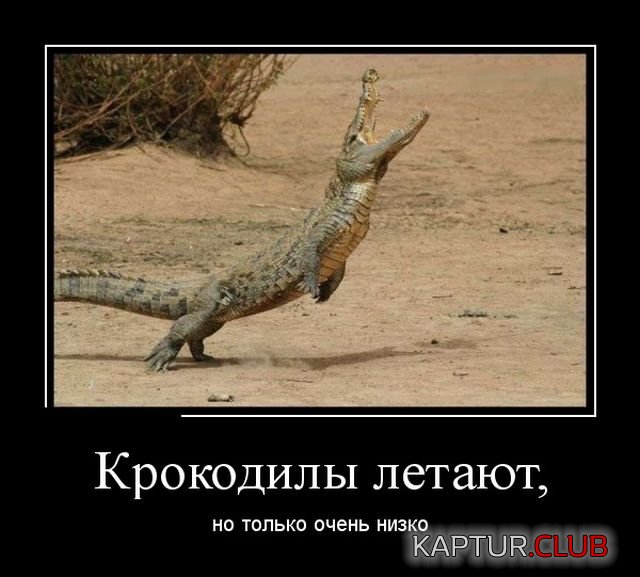 demotivatory_18.jpg | Рено Каптур Клуб Россия | Форум KAPTUR.SU