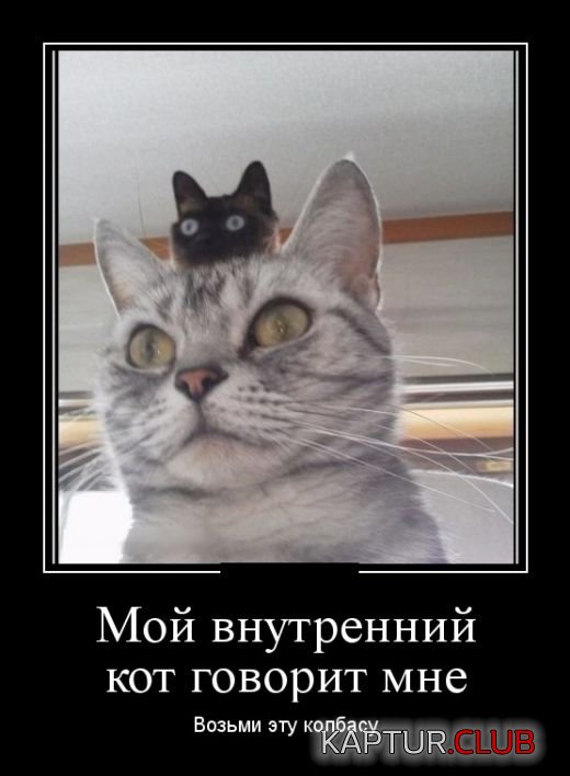demotivatory_18.jpg | Рено Каптур Клуб Россия | Форум KAPTUR.SU