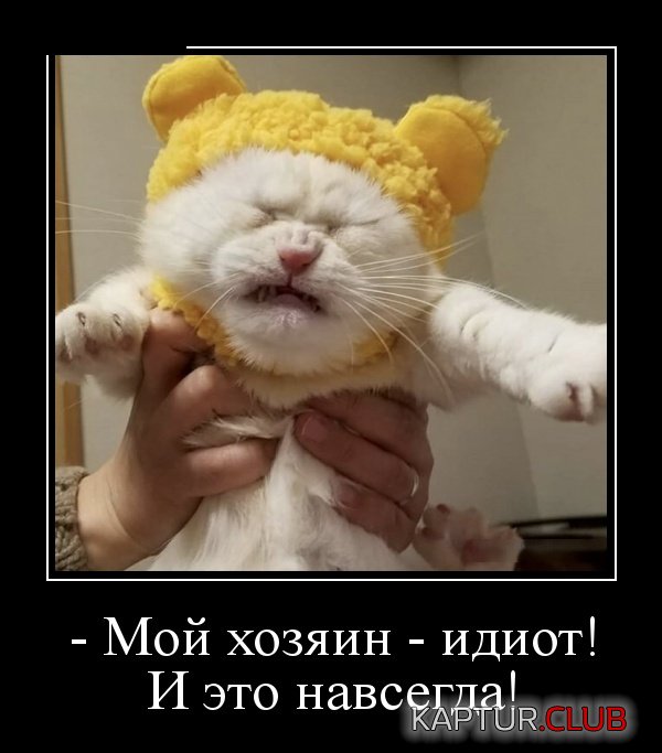 demotivatory_18.jpg | Рено Каптур Клуб Россия | Форум KAPTUR.SU