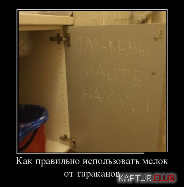 demotivatory_18.jpg | Рено Каптур Клуб Россия | Форум KAPTUR.SU