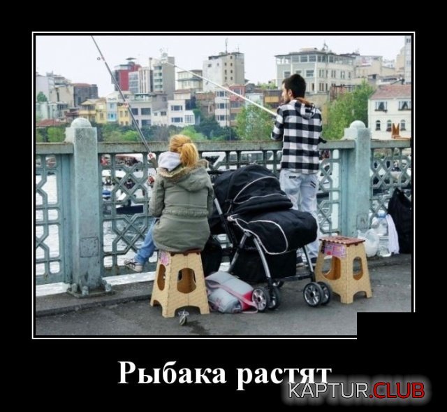 demotivatory_18.jpg | Рено Каптур Клуб Россия | Форум KAPTUR.SU