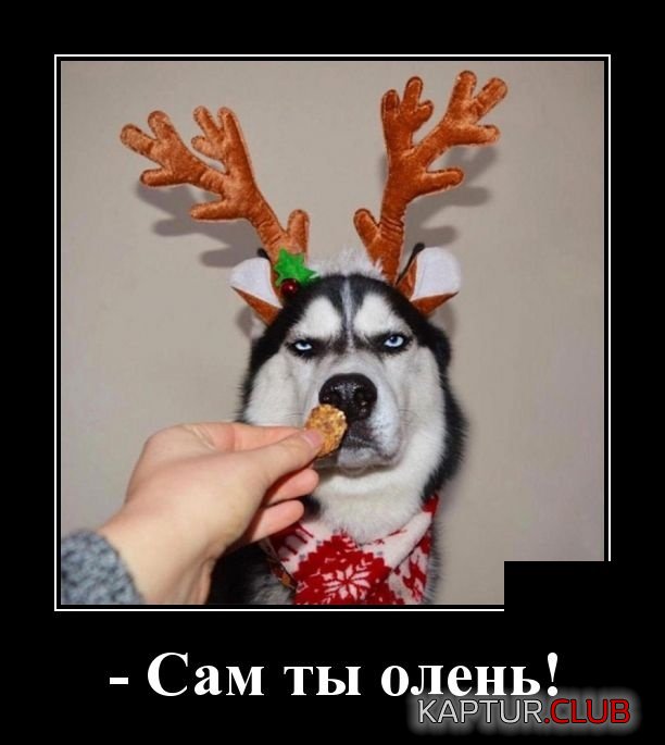 demotivatory_18.jpg | Рено Каптур Клуб Россия | Форум KAPTUR.SU