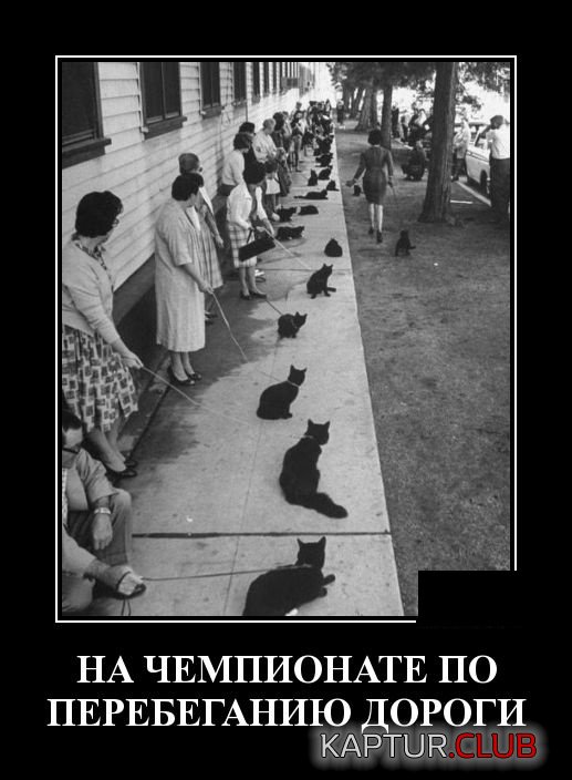 demotivatory_18.jpg | Рено Каптур Клуб Россия | Форум KAPTUR.SU
