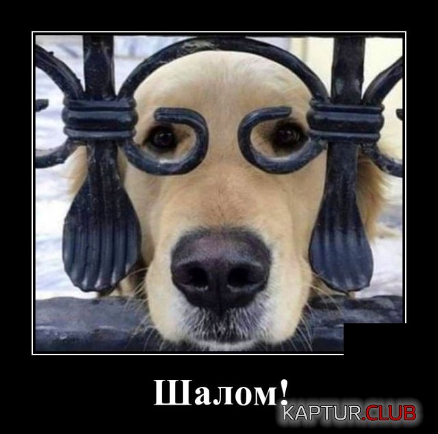demotivatory_18.jpg | Рено Каптур Клуб Россия | Форум KAPTUR.SU