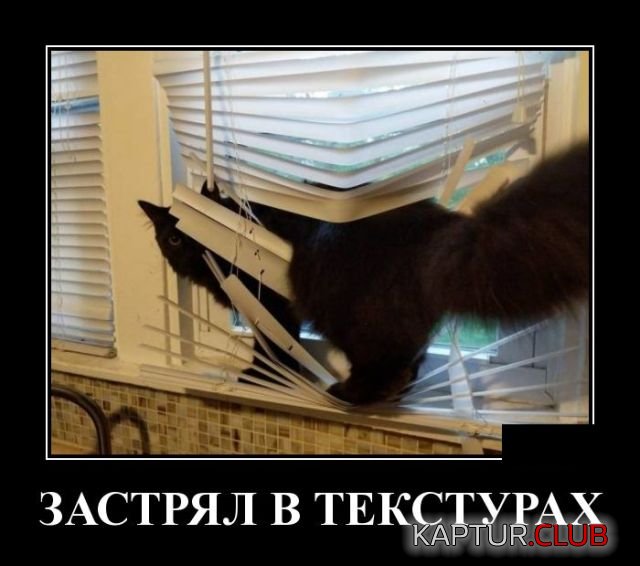 demotivatory_19.jpg | Рено Каптур Клуб Россия | Форум KAPTUR.SU