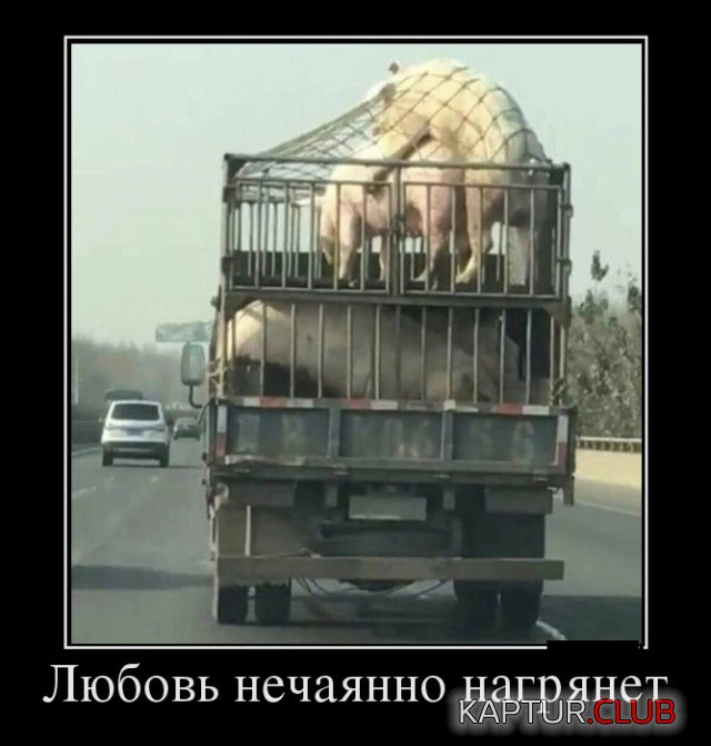 demotivatory_19.jpg | Рено Каптур Клуб Россия | Форум KAPTUR.SU