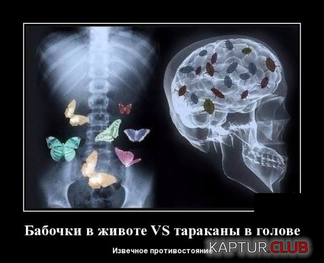 demotivatory_19.jpg | Рено Каптур Клуб Россия | Форум KAPTUR.SU