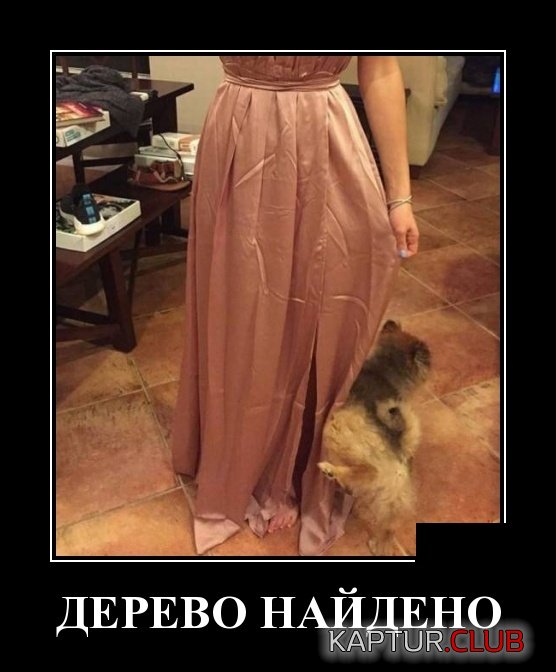 demotivatory_19.jpg | Рено Каптур Клуб Россия | Форум KAPTUR.SU
