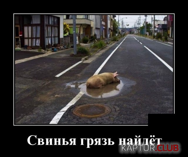 demotivatory_19.jpg | Рено Каптур Клуб Россия | Форум KAPTUR.SU