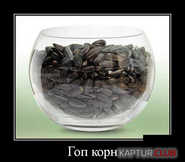 demotivatory_19.jpg | Рено Каптур Клуб Россия | Форум KAPTUR.SU
