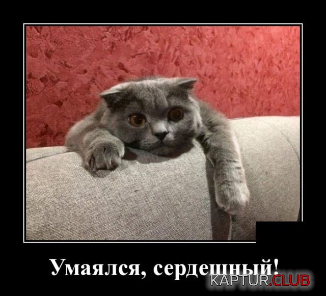 demotivatory_19.jpg | Рено Каптур Клуб Россия | Форум KAPTUR.SU