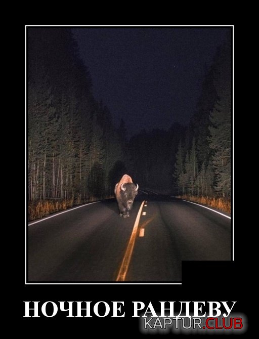 demotivatory_19.jpg | Рено Каптур Клуб Россия | Форум KAPTUR.SU