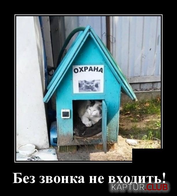 demotivatory_19.jpg | Рено Каптур Клуб Россия | Форум KAPTUR.SU