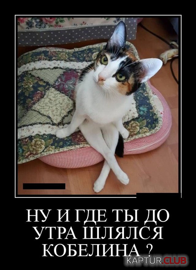 demotivatory_19.jpg | Рено Каптур Клуб Россия | Форум KAPTUR.SU