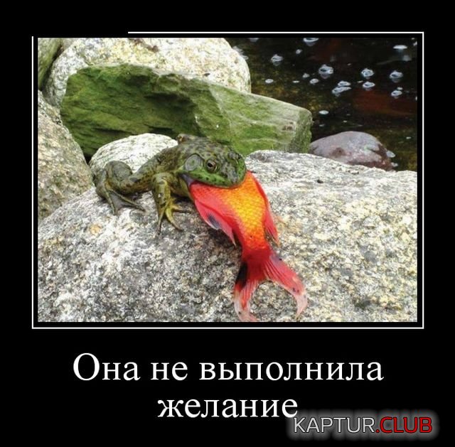 demotivatory_20.jpg | Рено Каптур Клуб Россия | Форум KAPTUR.SU