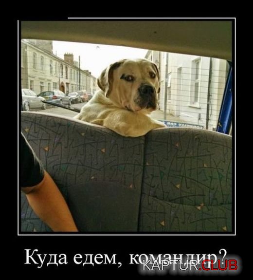 demotivatory_20.jpg | Рено Каптур Клуб Россия | Форум KAPTUR.SU