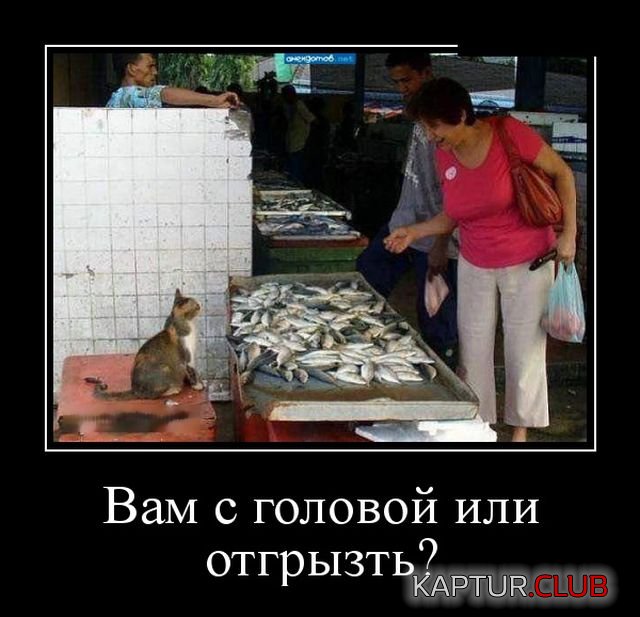 demotivatory_20.jpg | Рено Каптур Клуб Россия | Форум KAPTUR.SU
