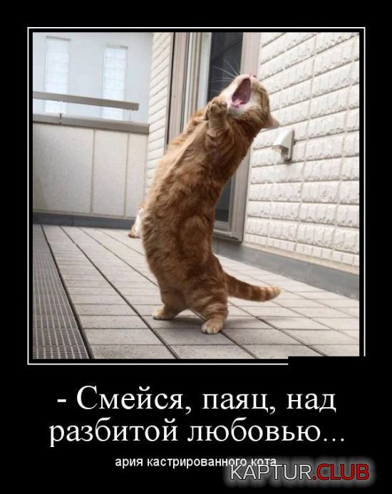 demotivatory_20.jpg | Рено Каптур Клуб Россия | Форум KAPTUR.SU
