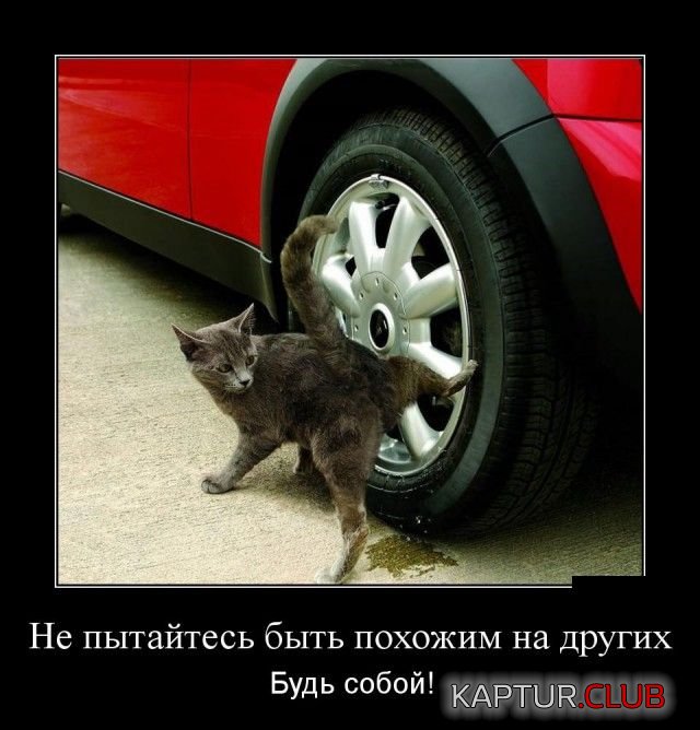 demotivatory_20.jpg | Рено Каптур Клуб Россия | Форум KAPTUR.SU