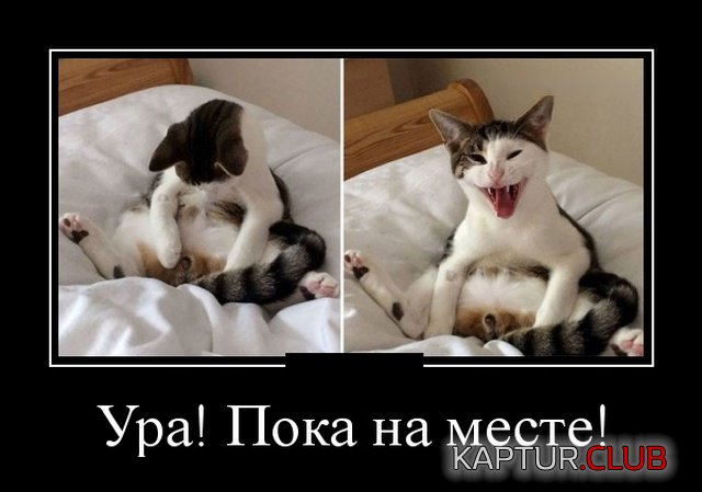 demotivatory_20.jpg | Рено Каптур Клуб Россия | Форум KAPTUR.SU