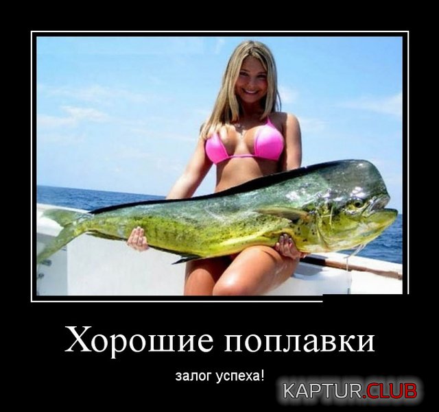 demotivatory_20.jpg | Рено Каптур Клуб Россия | Форум KAPTUR.SU
