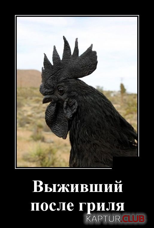 demotivatory_20.jpg | Рено Каптур Клуб Россия | Форум KAPTUR.SU