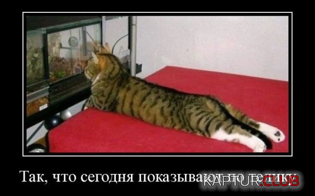 demotivatory_20.jpg | Рено Каптур Клуб Россия | Форум KAPTUR.SU