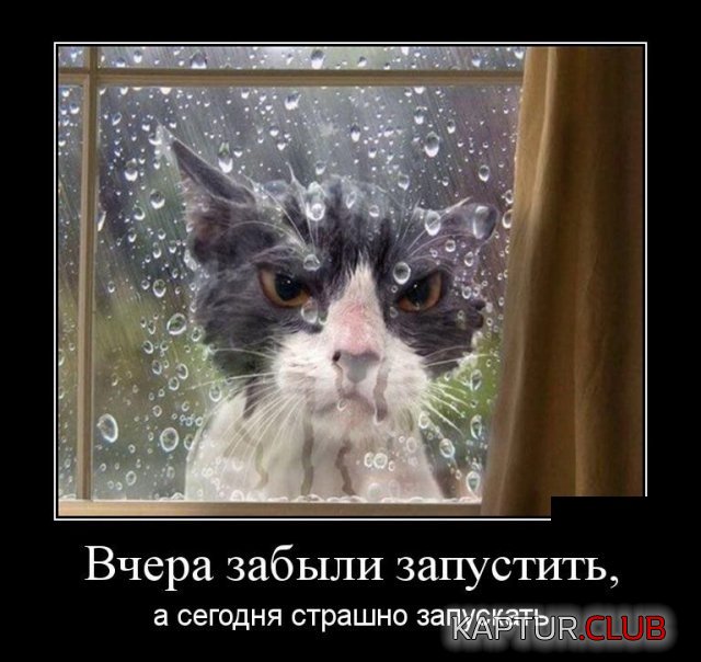 demotivatory_20.jpg | Рено Каптур Клуб Россия | Форум KAPTUR.SU