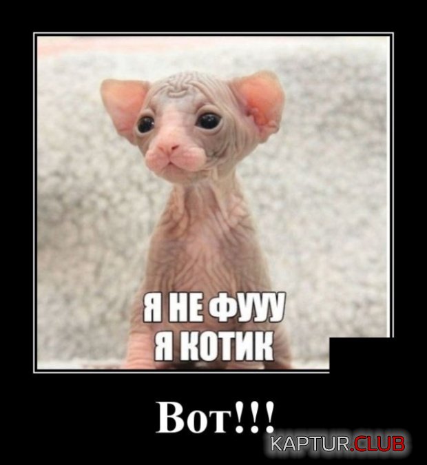 demotivatory_20.jpg | Рено Каптур Клуб Россия | Форум KAPTUR.SU