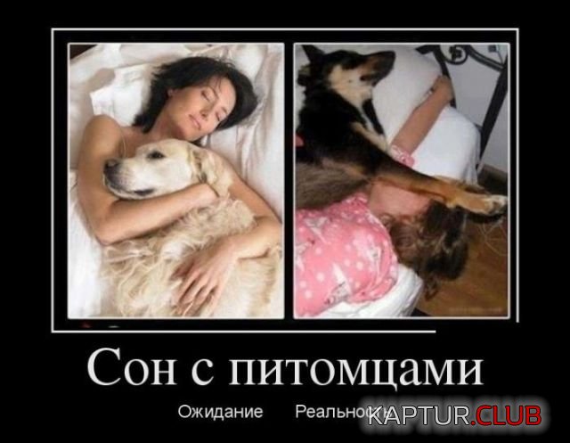 demotivatory_21.jpg | Рено Каптур Клуб Россия | Форум KAPTUR.SU