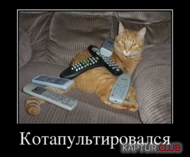 demotivatory_21.jpg | Рено Каптур Клуб Россия | Форум KAPTUR.SU