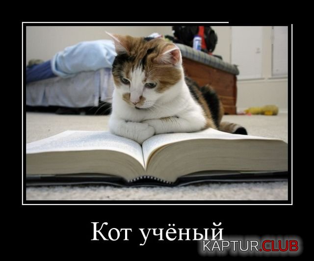 demotivatory_21.jpg | Рено Каптур Клуб Россия | Форум KAPTUR.SU