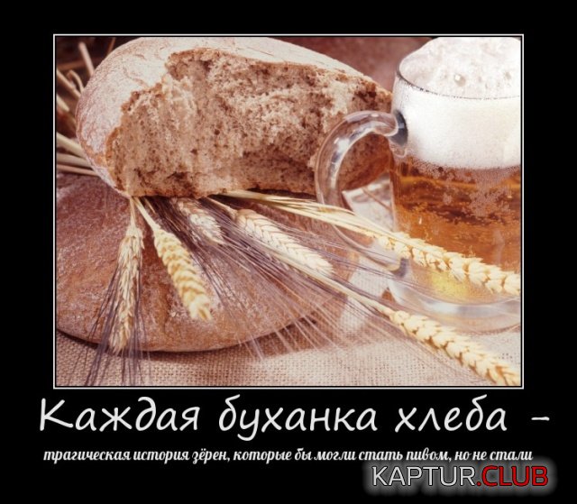 demotivatory_21.jpg | Рено Каптур Клуб Россия | Форум KAPTUR.SU