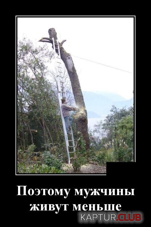 demotivatory_21.jpg | Рено Каптур Клуб Россия | Форум KAPTUR.SU
