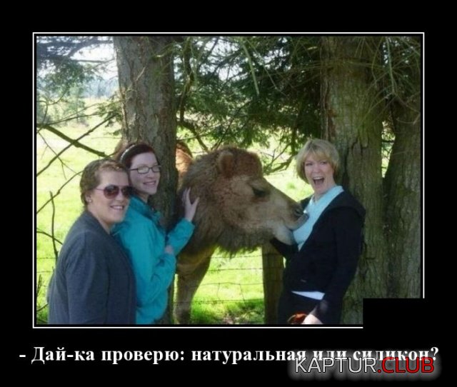 demotivatory_21.jpg | Рено Каптур Клуб Россия | Форум KAPTUR.SU