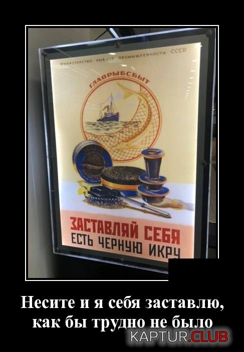 demotivatory_21.jpg | Рено Каптур Клуб Россия | Форум KAPTUR.SU