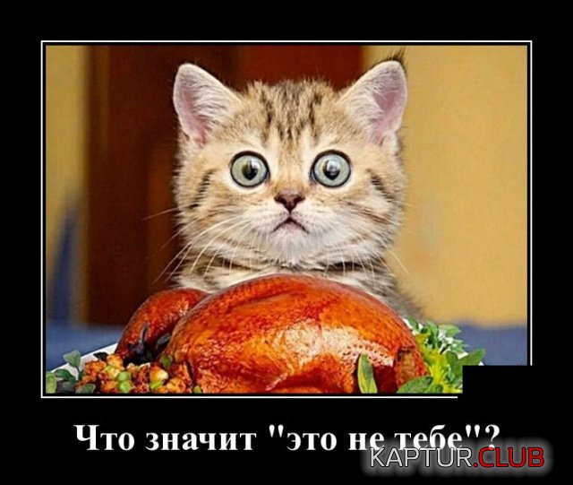 demotivatory_21.jpg | Рено Каптур Клуб Россия | Форум KAPTUR.SU