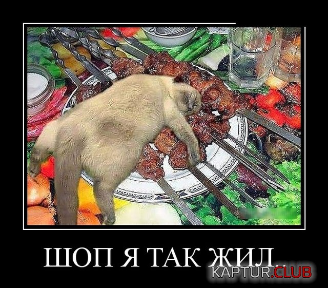demotivatory_21.jpg | Рено Каптур Клуб Россия | Форум KAPTUR.SU