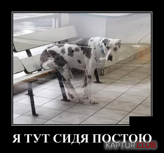 demotivatory_21.jpg | Рено Каптур Клуб Россия | Форум KAPTUR.SU