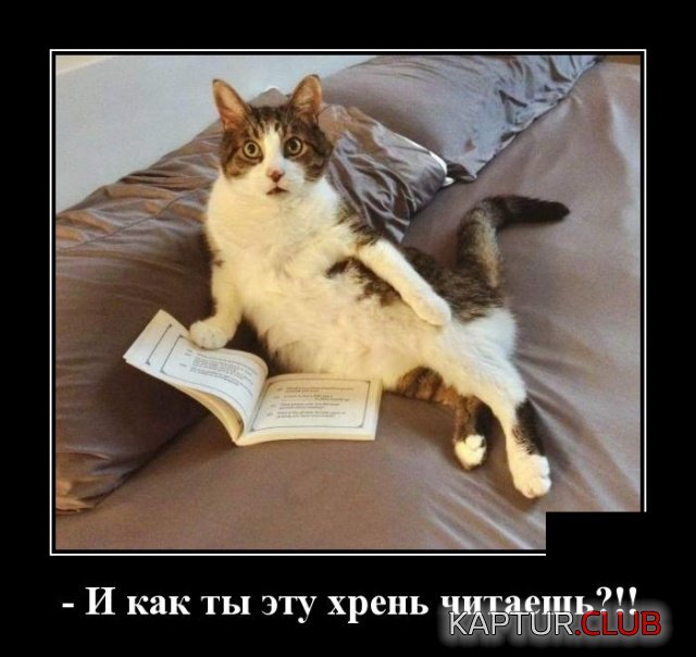 demotivatory_21.jpg | Рено Каптур Клуб Россия | Форум KAPTUR.SU