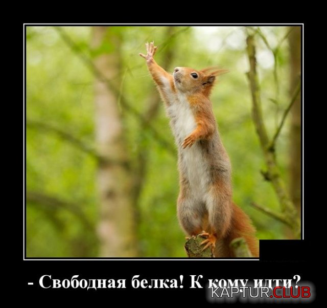 demotivatory_21.jpg | Рено Каптур Клуб Россия | Форум KAPTUR.SU