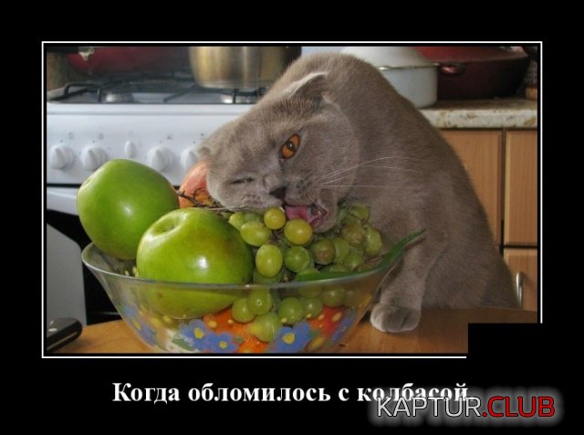 demotivatory_21.jpg | Рено Каптур Клуб Россия | Форум KAPTUR.SU