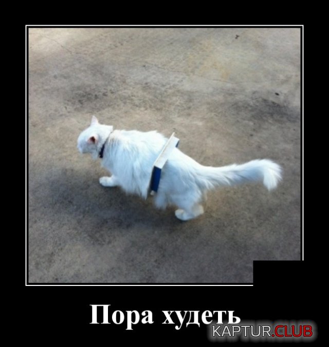 demotivatory_21.jpg | Рено Каптур Клуб Россия | Форум KAPTUR.SU
