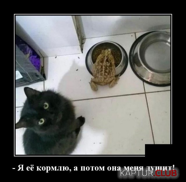 demotivatory_21.jpg | Рено Каптур Клуб Россия | Форум KAPTUR.SU