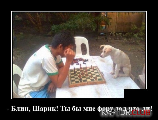 demotivatory_21.jpg | Рено Каптур Клуб Россия | Форум KAPTUR.SU